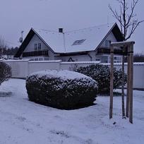 2016 - Zimní Koloveč